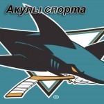 Эмблема команды Акулы спорта